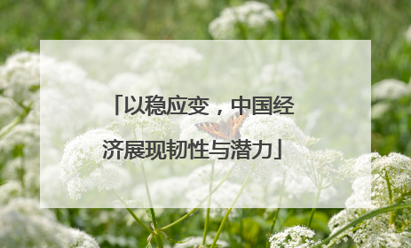 以稳应变，中国经济展现韧性与潜力